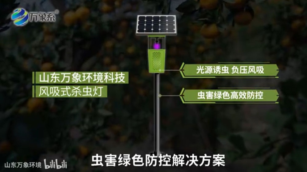 风吸式太阳能杀虫灯